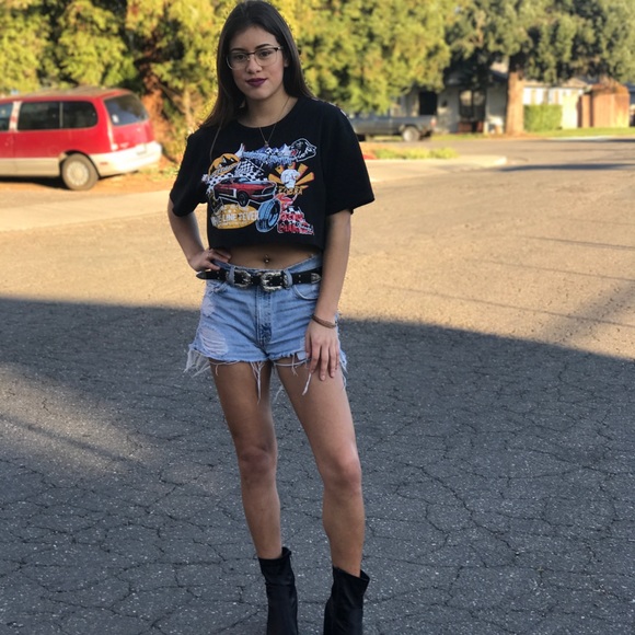 Meet your Posher, Catalina - Picture 2 of 2